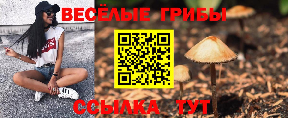 Галлюциногенные грибы прущие грибы  Вход с VPN  Барнаул 