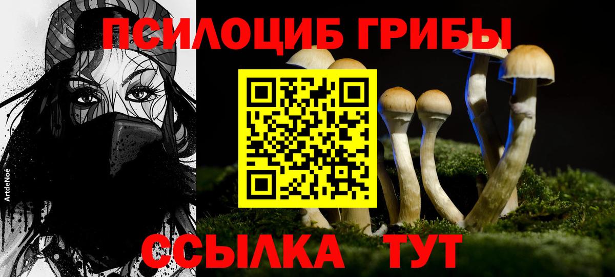 Галлюциногенные грибы Magic Shrooms Барнаул