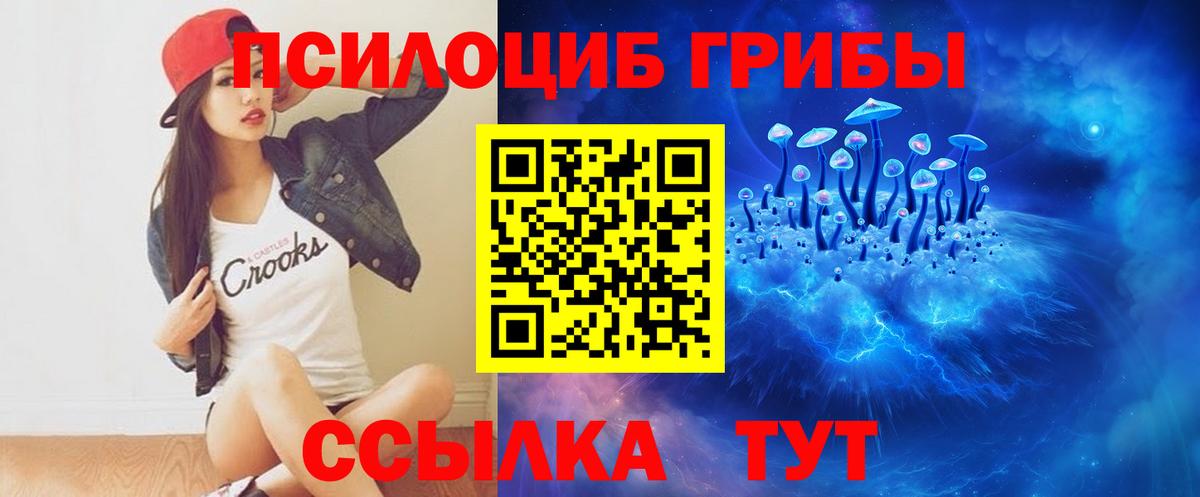 Галлюциногенные грибы Magic Shrooms  Барнаул  купить  сайты  Псилоцибиновые грибы мицелий 
